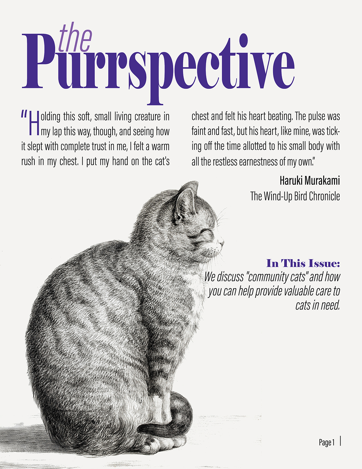 <b>The Purrspective</b><br>
      <i>Created using InDesign.</i><br> 
      This newsletter discusses the age-old needs of and problems within cat rescue communities. Designed to combine sleek, modern design with traditional imagery as a commentary on the currency of these problems.